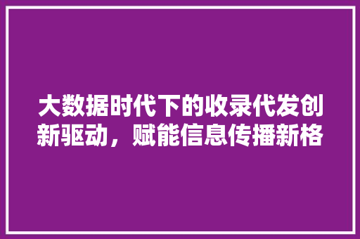 大数据时代下的收录代发创新驱动，赋能信息传播新格局