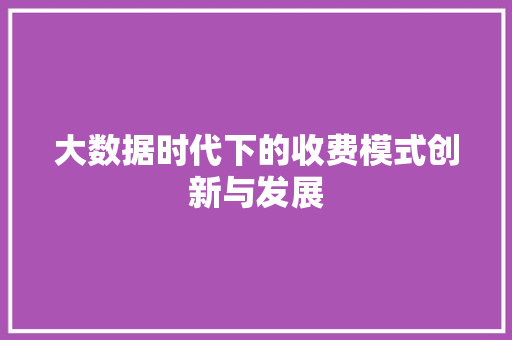 大数据时代下的收费模式创新与发展  第1张