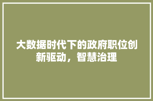 大数据时代下的政府职位创新驱动，智慧治理  第1张