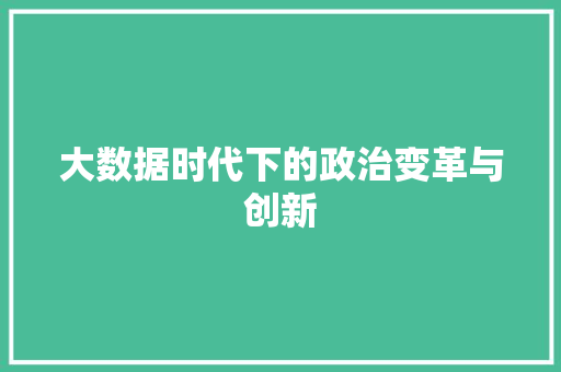 大数据时代下的政治变革与创新  第1张