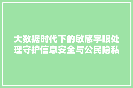 大数据时代下的敏感字眼处理守护信息安全与公民隐私的平衡之路