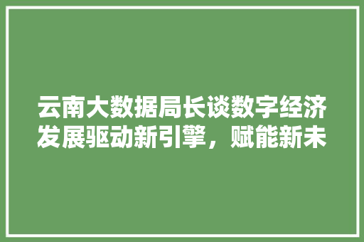 云南大数据局长谈数字经济发展驱动新引擎，赋能新未来