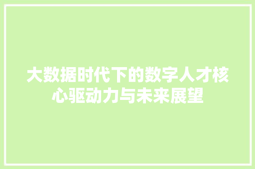 大数据时代下的数字人才核心驱动力与未来展望  第1张
