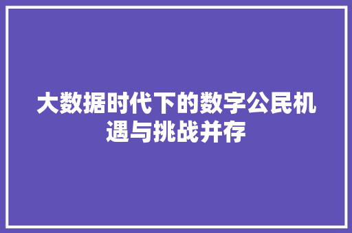 大数据时代下的数字公民机遇与挑战并存  第1张