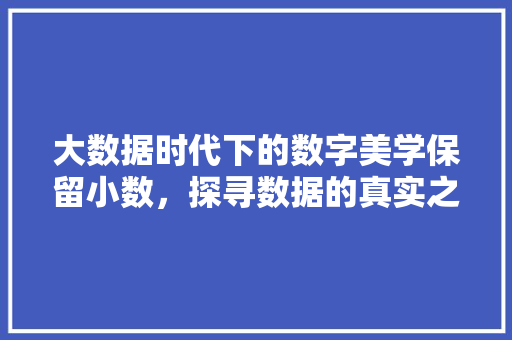 大数据时代下的数字美学保留小数，探寻数据的真实之美  第1张