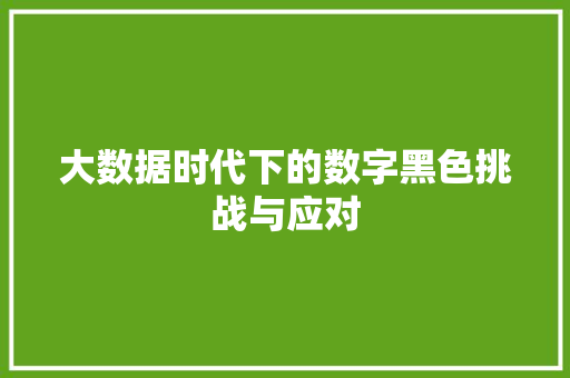 大数据时代下的数字黑色挑战与应对