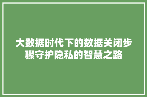 大数据时代下的数据关闭步骤守护隐私的智慧之路  第1张
