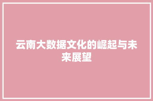 云南大数据文化的崛起与未来展望