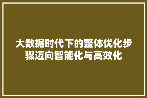 大数据时代下的整体优化步骤迈向智能化与高效化