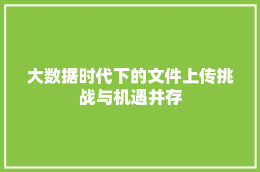大数据时代下的文件上传挑战与机遇并存