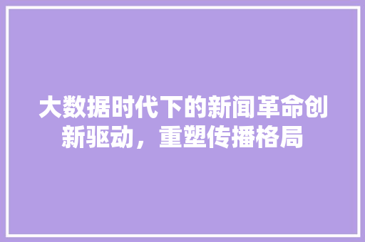 大数据时代下的新闻革命创新驱动，重塑传播格局  第1张