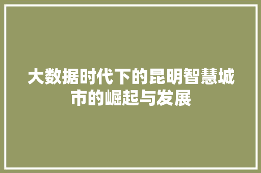 大数据时代下的昆明智慧城市的崛起与发展