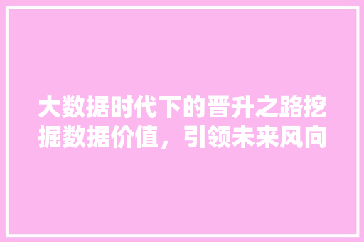 大数据时代下的晋升之路挖掘数据价值，引领未来风向