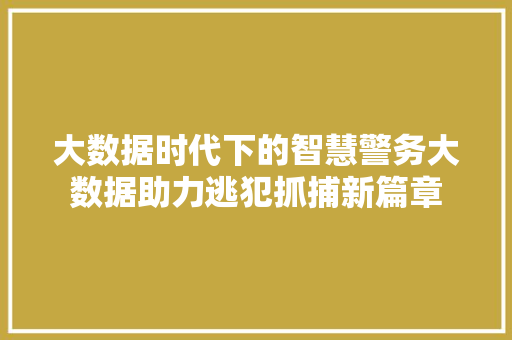 大数据时代下的智慧警务大数据助力逃犯抓捕新篇章