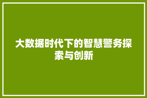 大数据时代下的智慧警务探索与创新