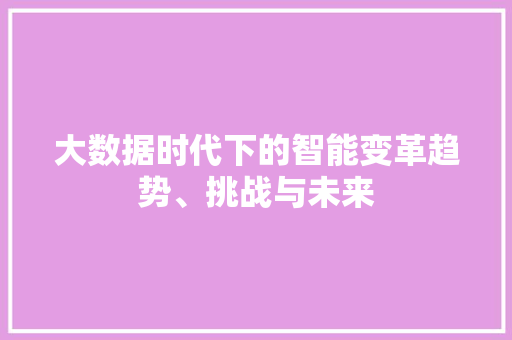 大数据时代下的智能变革趋势、挑战与未来  第1张