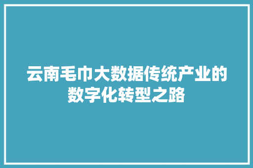 云南毛巾大数据传统产业的数字化转型之路  第1张
