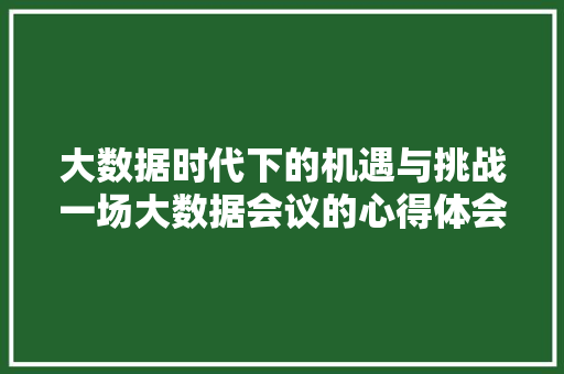 大数据时代下的机遇与挑战一场大数据会议的心得体会
