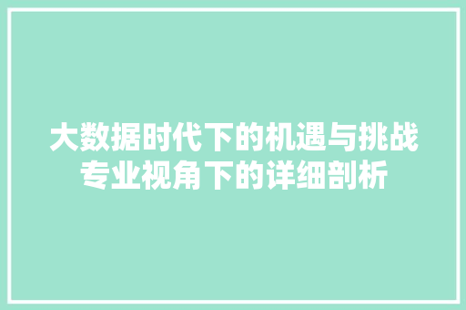 大数据时代下的机遇与挑战专业视角下的详细剖析