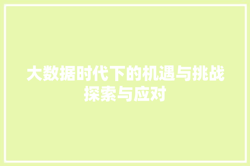 大数据时代下的机遇与挑战探索与应对