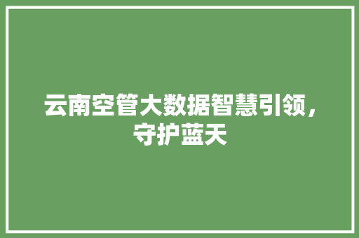 云南空管大数据智慧引领，守护蓝天