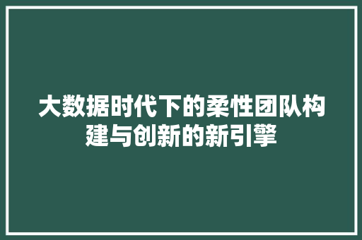 大数据时代下的柔性团队构建与创新的新引擎  第1张