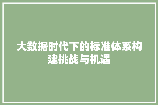 大数据时代下的标准体系构建挑战与机遇  第1张
