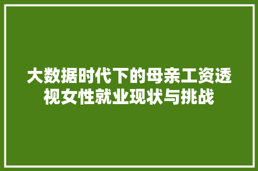 大数据时代下的母亲工资透视女性就业现状与挑战  第1张