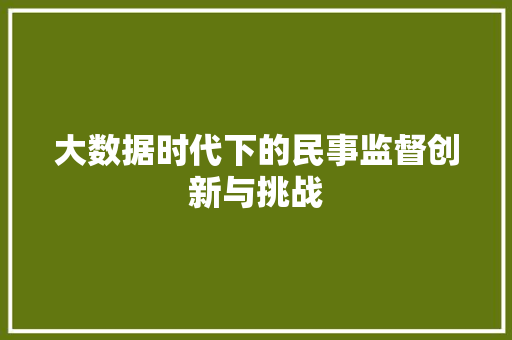 大数据时代下的民事监督创新与挑战  第1张