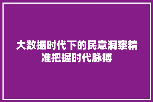 大数据时代下的民意洞察精准把握时代脉搏  第1张