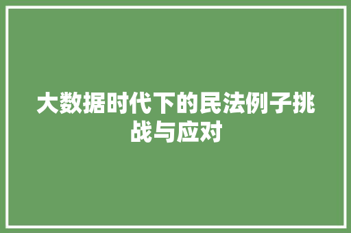大数据时代下的民法例子挑战与应对  第1张