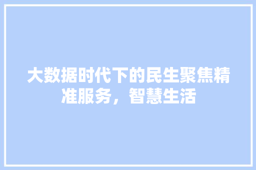大数据时代下的民生聚焦精准服务，智慧生活  第1张