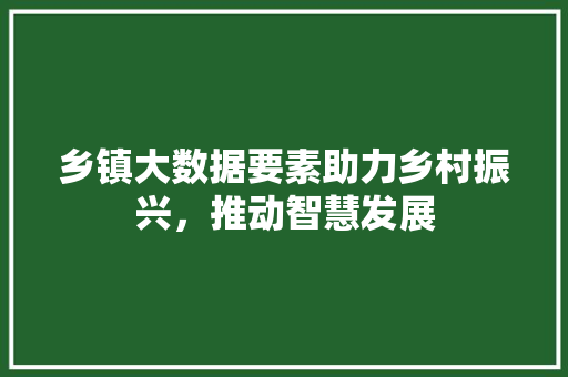 乡镇大数据要素助力乡村振兴，推动智慧发展