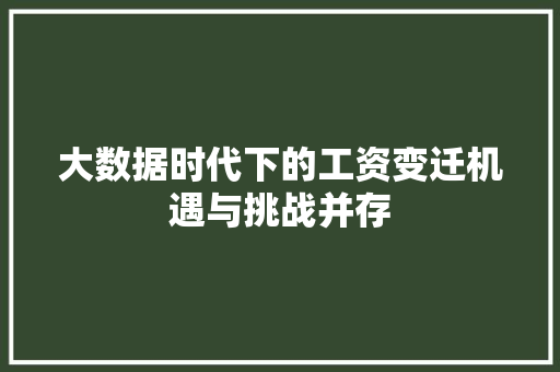 大数据时代下的工资变迁机遇与挑战并存  第1张