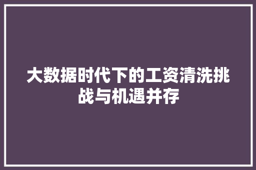 大数据时代下的工资清洗挑战与机遇并存  第1张