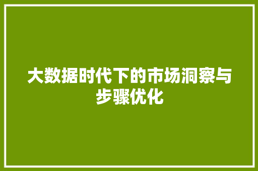 大数据时代下的市场洞察与步骤优化