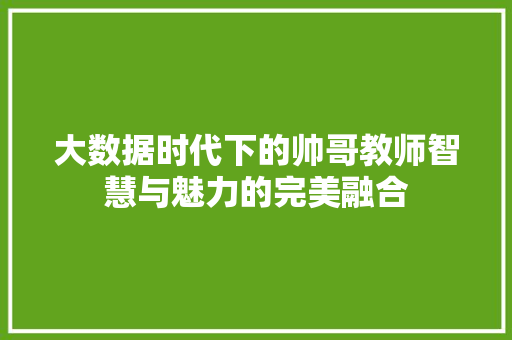 大数据时代下的帅哥教师智慧与魅力的完美融合