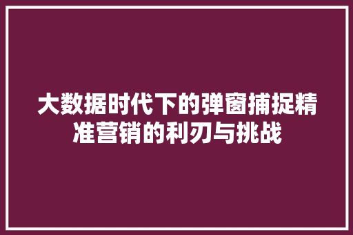 大数据时代下的弹窗捕捉精准营销的利刃与挑战  第1张