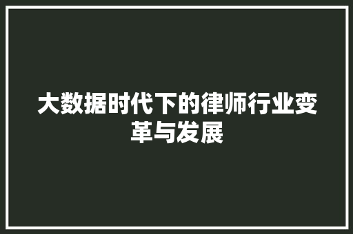大数据时代下的律师行业变革与发展