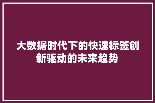 大数据时代下的快速标签创新驱动的未来趋势  第1张