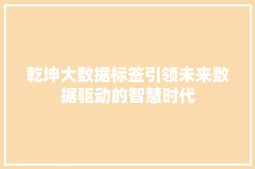 乾坤大数据标签引领未来数据驱动的智慧时代