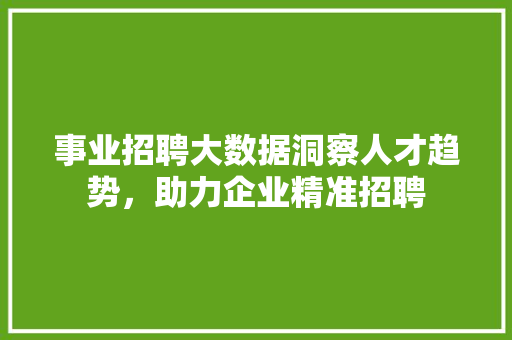事业招聘大数据洞察人才趋势，助力企业精准招聘