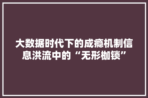 大数据时代下的成瘾机制信息洪流中的“无形枷锁”  第1张
