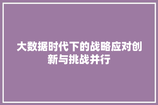 大数据时代下的战略应对创新与挑战并行