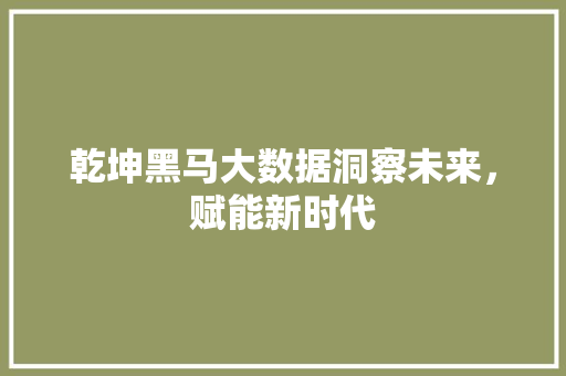 乾坤黑马大数据洞察未来，赋能新时代
