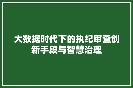 大数据时代下的执纪审查创新手段与智慧治理  第1张