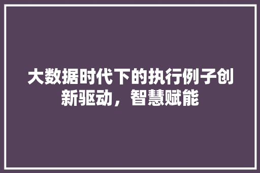 大数据时代下的执行例子创新驱动，智慧赋能  第1张