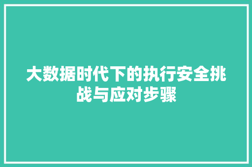 大数据时代下的执行安全挑战与应对步骤