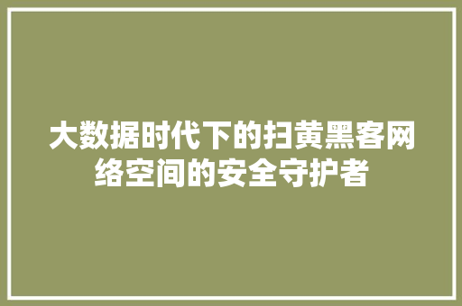 大数据时代下的扫黄黑客网络空间的安全守护者