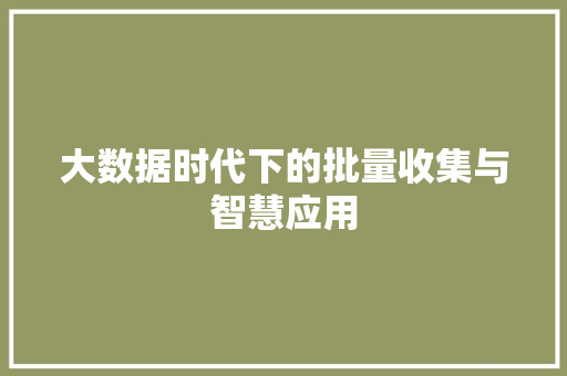 大数据时代下的批量收集与智慧应用